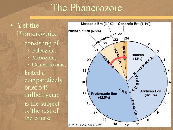 The Phanerozoic • Yet the Phanerozoic, – consisting of • Paleozoic, • Mesozoic, •