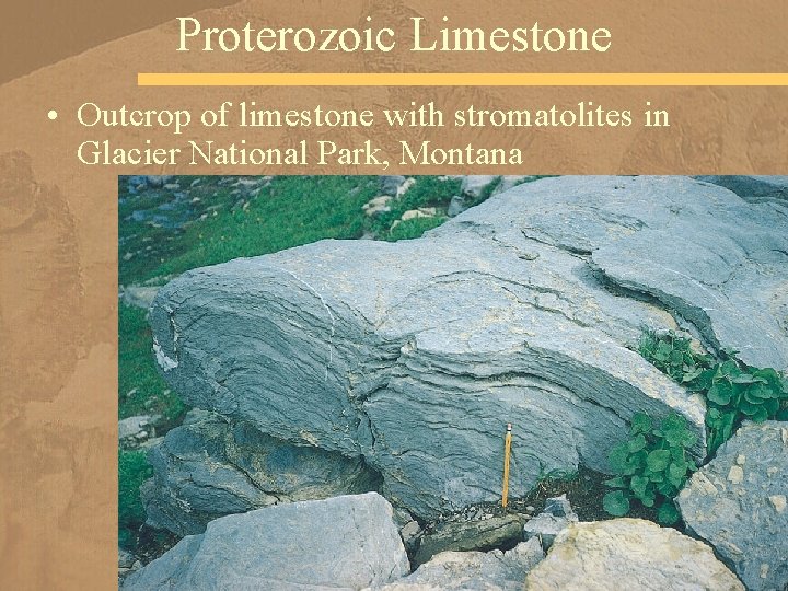 Proterozoic Limestone • Outcrop of limestone with stromatolites in Glacier National Park, Montana 