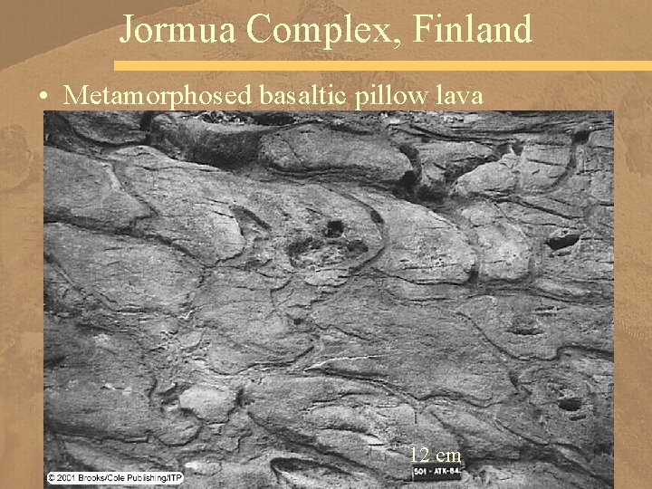 Jormua Complex, Finland • Metamorphosed basaltic pillow lava 12 cm 