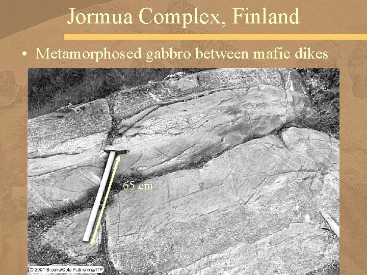 Jormua Complex, Finland • Metamorphosed gabbro between mafic dikes 65 cm 