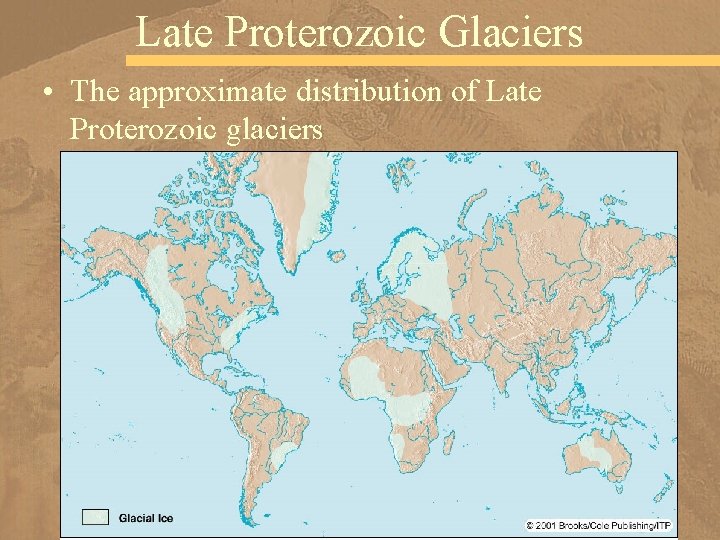 Late Proterozoic Glaciers • The approximate distribution of Late Proterozoic glaciers 