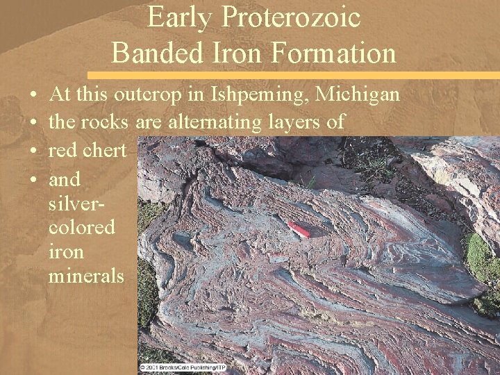 Early Proterozoic Banded Iron Formation • • At this outcrop in Ishpeming, Michigan the