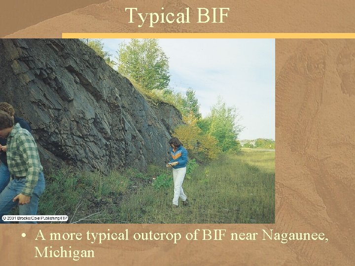 Typical BIF • A more typical outcrop of BIF near Nagaunee, Michigan 