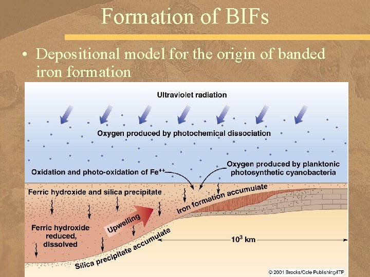 Formation of BIFs • Depositional model for the origin of banded iron formation 