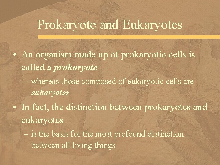 Prokaryote and Eukaryotes • An organism made up of prokaryotic cells is called a