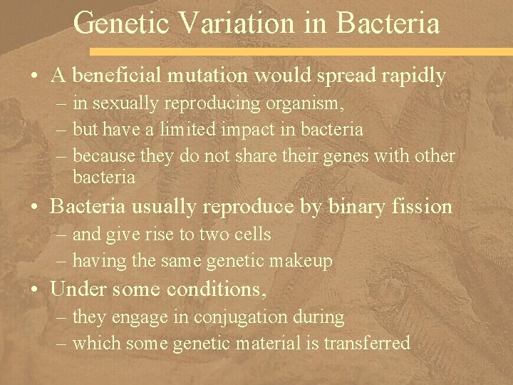 Genetic Variation in Bacteria • A beneficial mutation would spread rapidly – in sexually