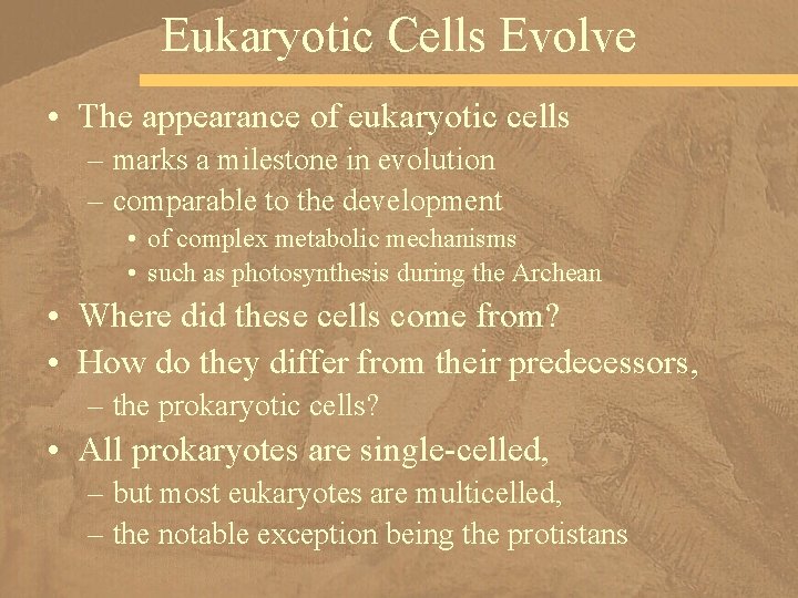 Eukaryotic Cells Evolve • The appearance of eukaryotic cells – marks a milestone in