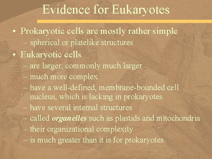 Evidence for Eukaryotes • Prokaryotic cells are mostly rather simple – spherical or platelike