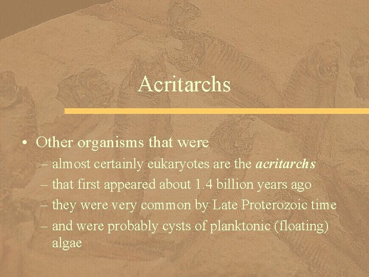 Acritarchs • Other organisms that were – almost certainly eukaryotes are the acritarchs –