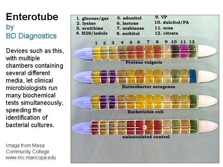 Enterotube by BD Diagnostics Devices such as this, with multiple chambers containing several different