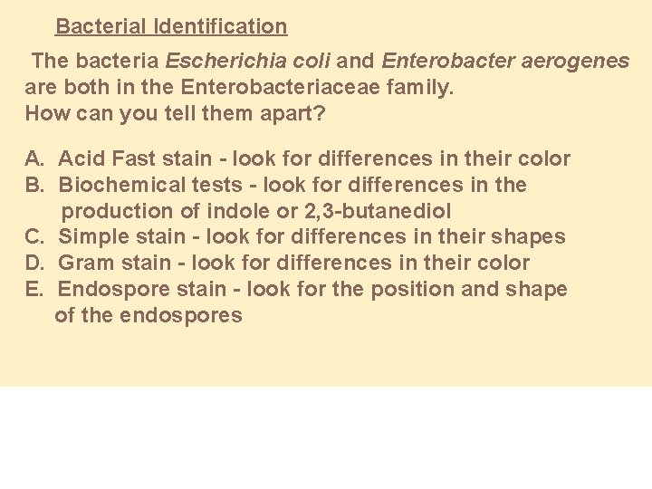 Bacterial Identification The bacteria Escherichia coli and Enterobacter aerogenes are both in the Enterobacteriaceae