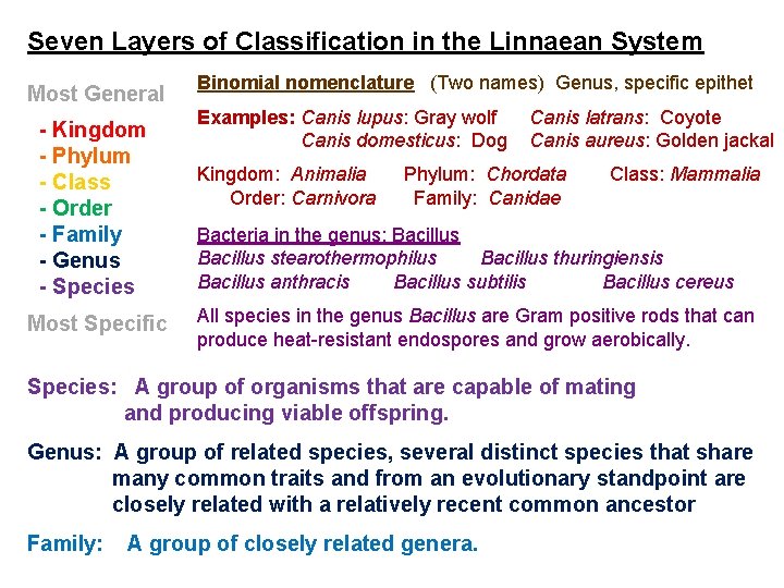 Seven Layers of Classification in the Linnaean System Most General - Kingdom - Phylum