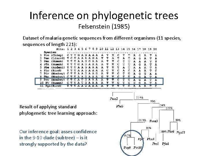 Inference on phylogenetic trees Felsenstein (1985) Dataset of malaria genetic sequences from different organisms