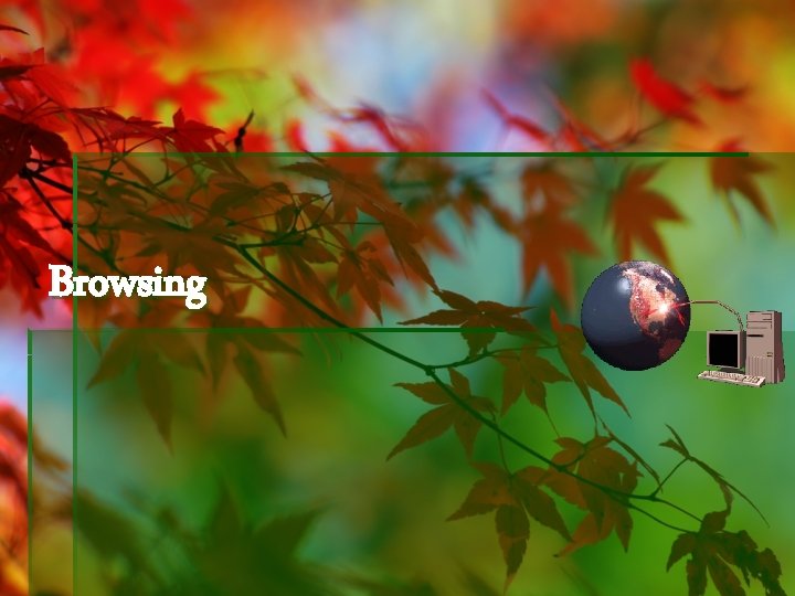 Browsing 