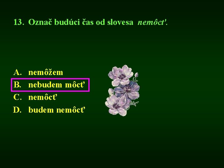 13. Označ budúci čas od slovesa nemôcť. A. B. C. D. nemôžem nebudem môcť