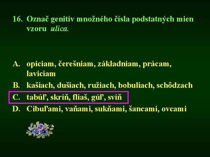 16. Označ genitív množného čísla podstatných mien vzoru ulica. A. opiciam, čerešniam, základniam, prácam,