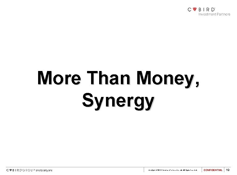 More Than Money, Synergy Copyright CYBIRD Investment Partners Co. , Ltd. All Rights Reserved.