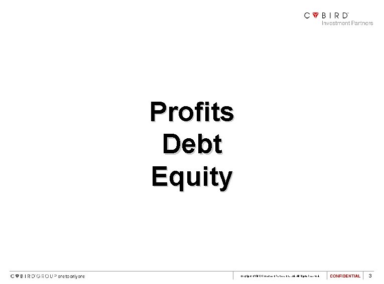 Profits Debt Equity Copyright CYBIRD Investment Partners Co. , Ltd. All Rights Reserved. 3