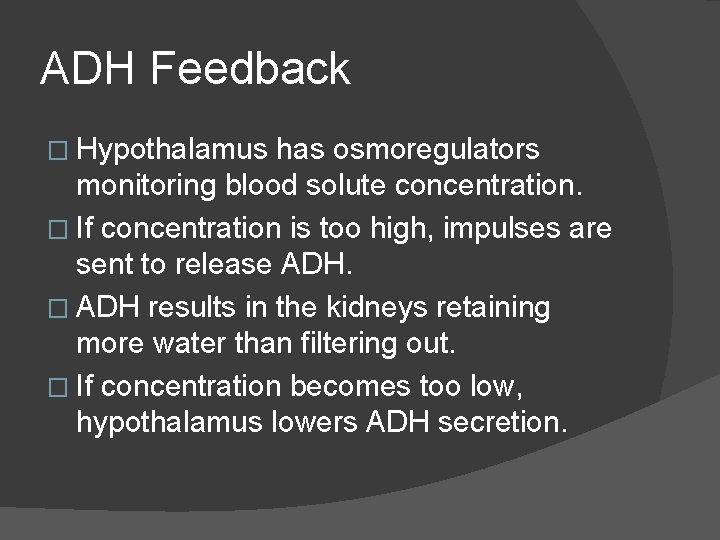 ADH Feedback � Hypothalamus has osmoregulators monitoring blood solute concentration. � If concentration is