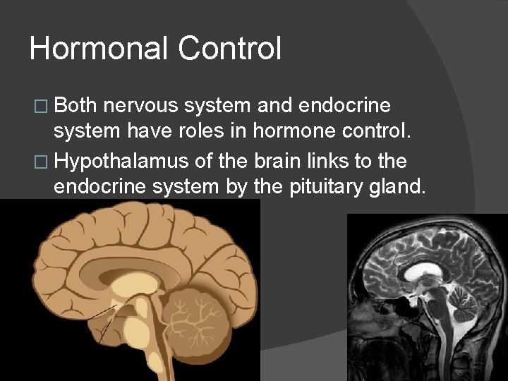 Hormonal Control � Both nervous system and endocrine system have roles in hormone control.