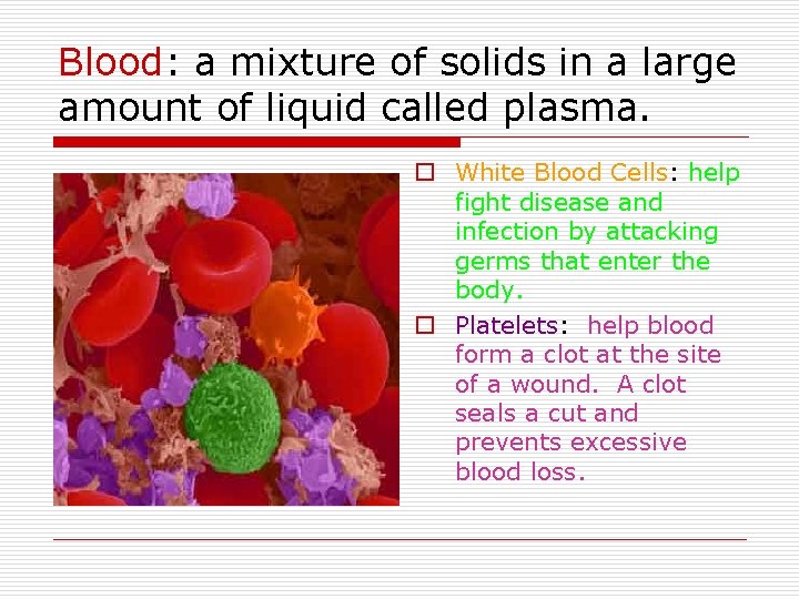 Blood: a mixture of solids in a large amount of liquid called plasma. o