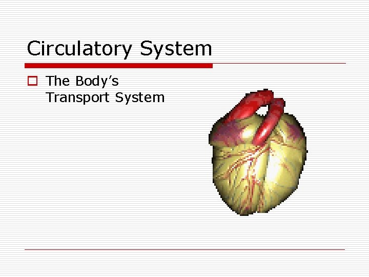 Circulatory System o The Body’s Transport System 