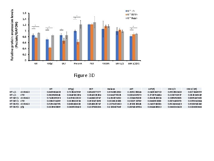 Figure 3 D KIT +/+ KIT D 17/+ KIT DUP/+ AVERAGE STD KIT 0.
