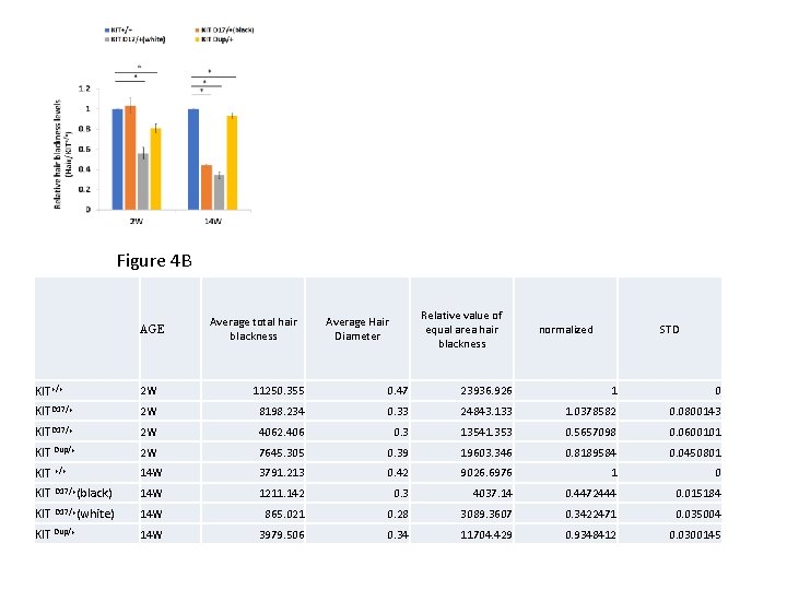 Figure 4 B AGE Average total hair blackness Relative value of equal area hair