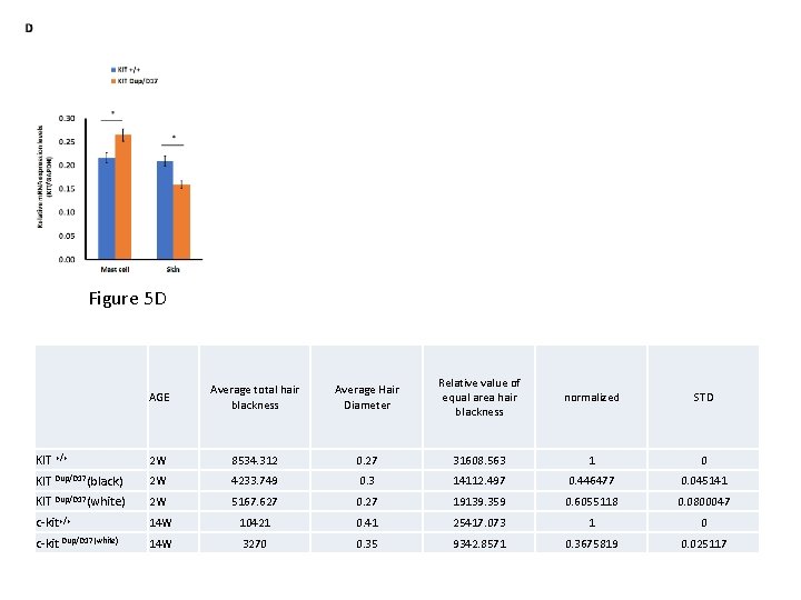 Figure 5 D AGE Average total hair blackness Average Hair Diameter Relative value of