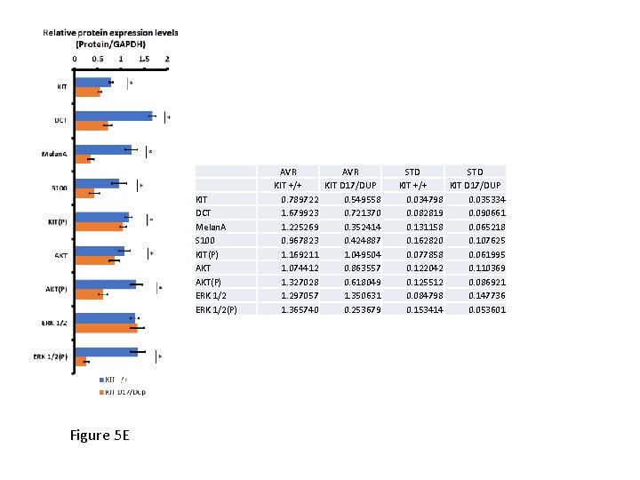 KIT DCT Melan. A S 100 KIT(P) AKT(P) ERK 1/2(P) Figure 5 E AVR