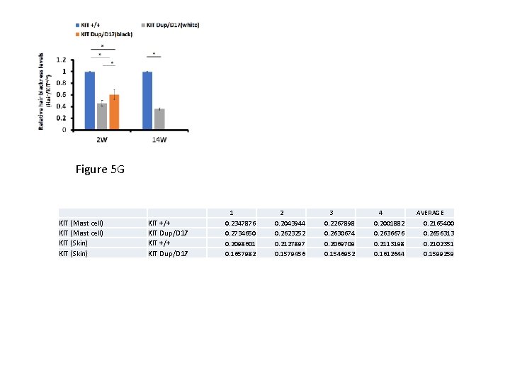 Figure 5 G KIT (Mast cell) KIT (Skin) KIT +/+ KIT Dup/D 17 1