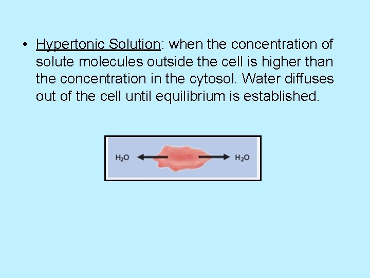  • Hypertonic Solution: when the concentration of solute molecules outside the cell is