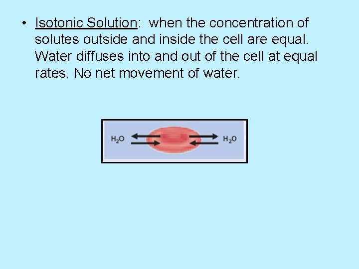  • Isotonic Solution: when the concentration of solutes outside and inside the cell