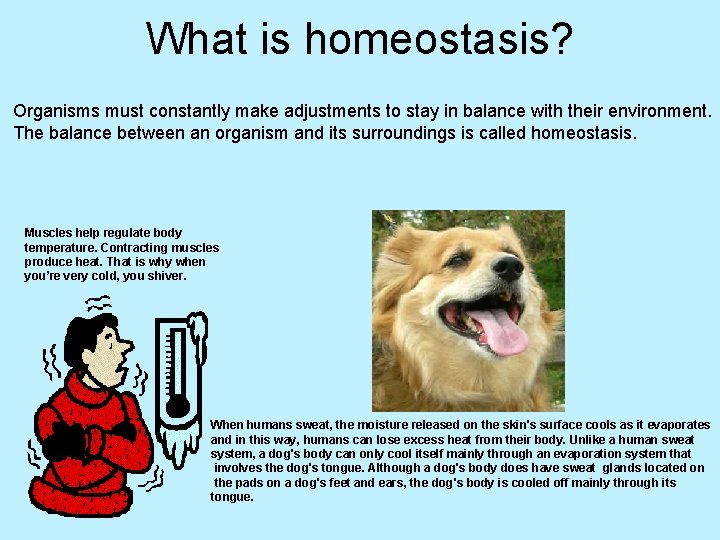 What is homeostasis? Organisms must constantly make adjustments to stay in balance with their