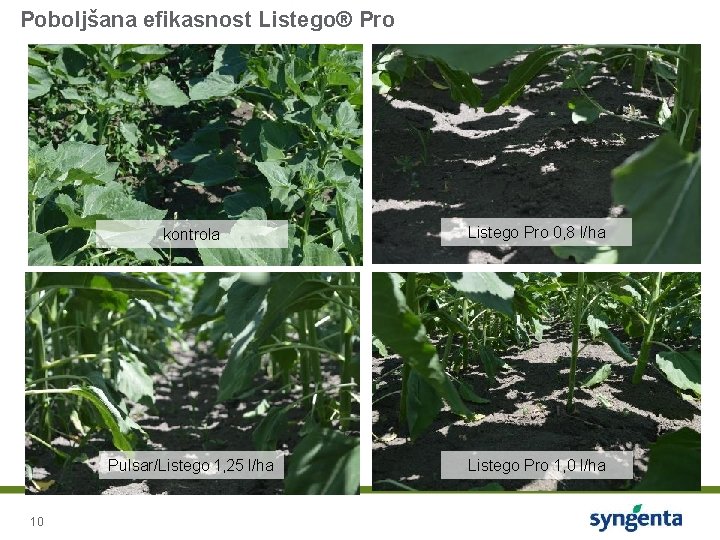 Poboljšana efikasnost Listego® Pro 10 kontrola Listego Pro 0, 8 l/ha Pulsar/Listego 1, 25
