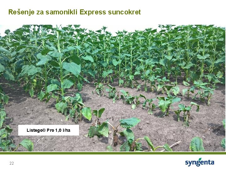 Rešenje za samonikli Express suncokret Listego® Pro 1, 0 l/ha 22 