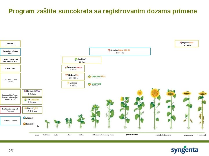 Program zaštite suncokreta sa registrovanim dozama primene Reglone Forte Desikacija 2, 5 -2, 5