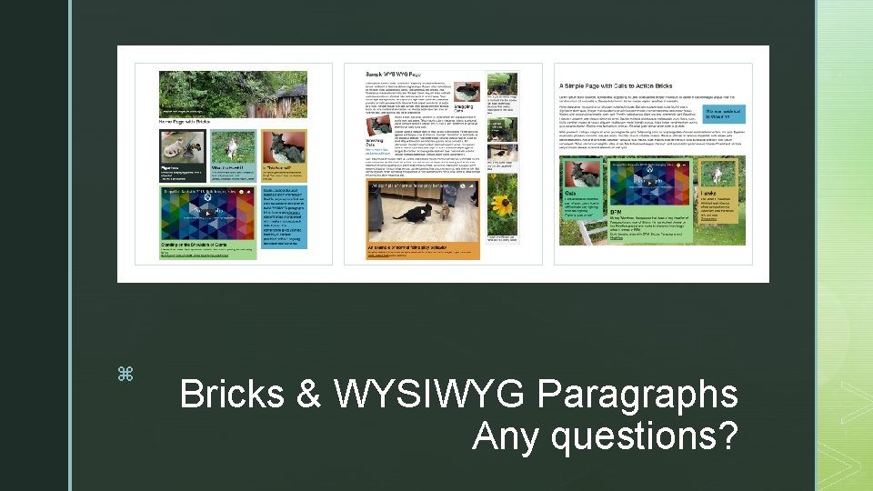 z z z Bricks & WYSIWYG Paragraphs Any questions? 