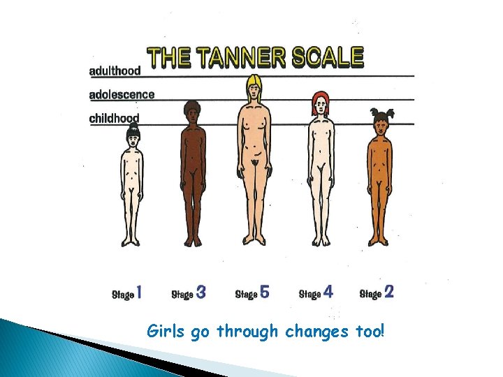 Girls and Puberty Girls go through changes too! 
