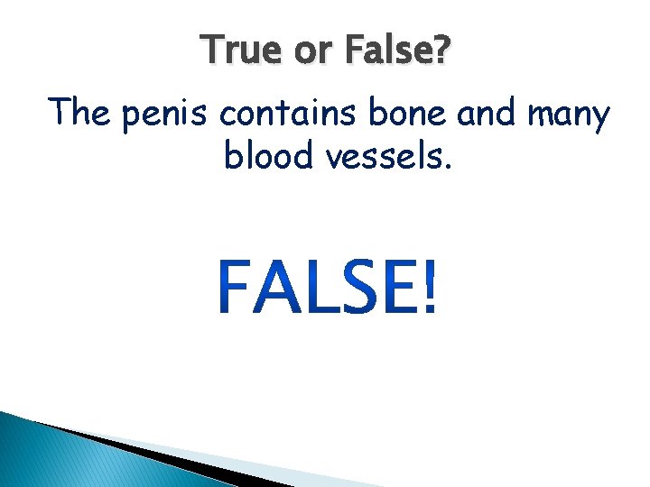True or False? The penis contains bone and many blood vessels. 
