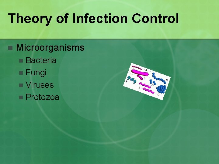 Theory of Infection Control n Microorganisms Bacteria n Fungi n Viruses n Protozoa n