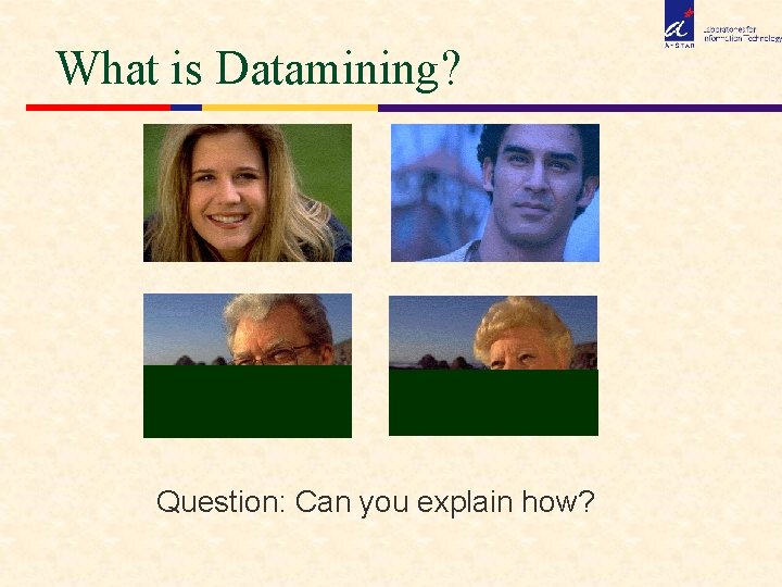 What is Datamining? Question: Can you explain how? 