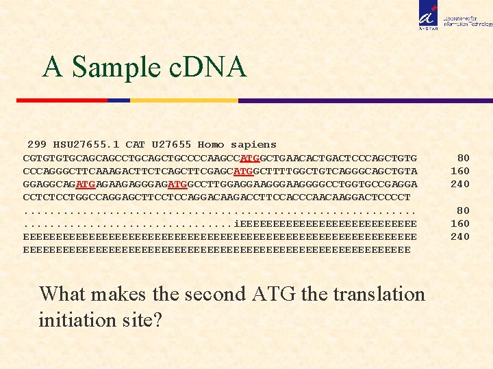 A Sample c. DNA 299 HSU 27655. 1 CAT U 27655 Homo sapiens CGTGTGTGCAGCAGCCTGCAGCTGCCCCAAGCCATGGCTGAACACTGACTCCCAGCTGTG