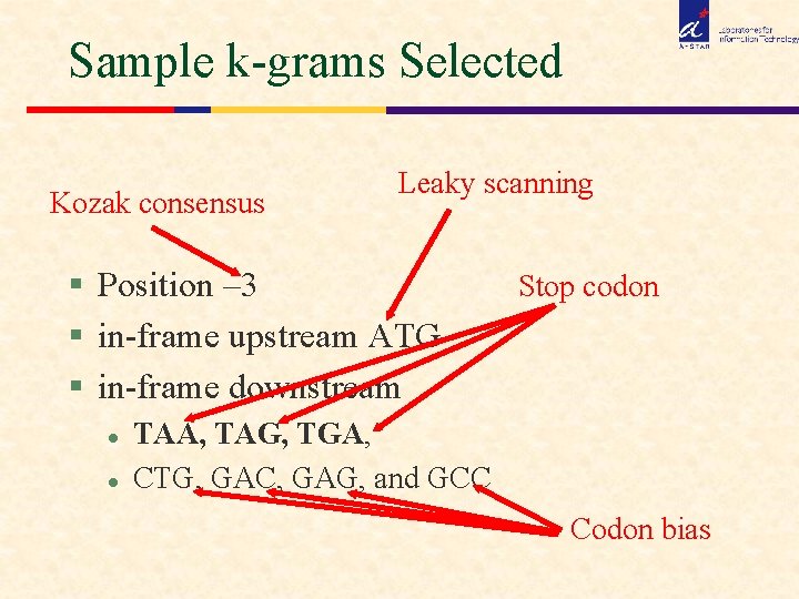 Sample k-grams Selected Kozak consensus Leaky scanning § Position – 3 § in-frame upstream