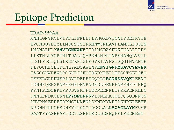 Epitope Prediction TRAP-559 AA MNHLGNVKYLVIVFLIFFDLFLVNGRDVQNNIVDEIKYSE EVCNDQVDLYLLMDCSGSIRRHNWVNHAVPLAMKLIQQLN LNDNAIHLYVNVFSNNAKEIIRLHSDASKNKEKALIIIRS LLSTNLPYGRTNLTDALLQVRKHLNDRINRENANQLVVIL TDGIPDSIQDSLKESRKLSDRGVKIAVFGIGQGINVAFNR FLVGCHPSDGKCNLYADSAWENVKNVIGPFMKAVCVEVEK TASCGVWDEWSPCSVTCGKGTRSRKREILHEGCTSEIQEQ CEEERCPPKWEPLDVPDEPEDDQPRPRGDNSSVQKPEENI IDNNPQEPSPNPEEGKDENPNGFDLDENPENPPNPDIPEQ KPNIPEDSEKEVPSDVPKNPEDDREENFDIPKKPENKHDN