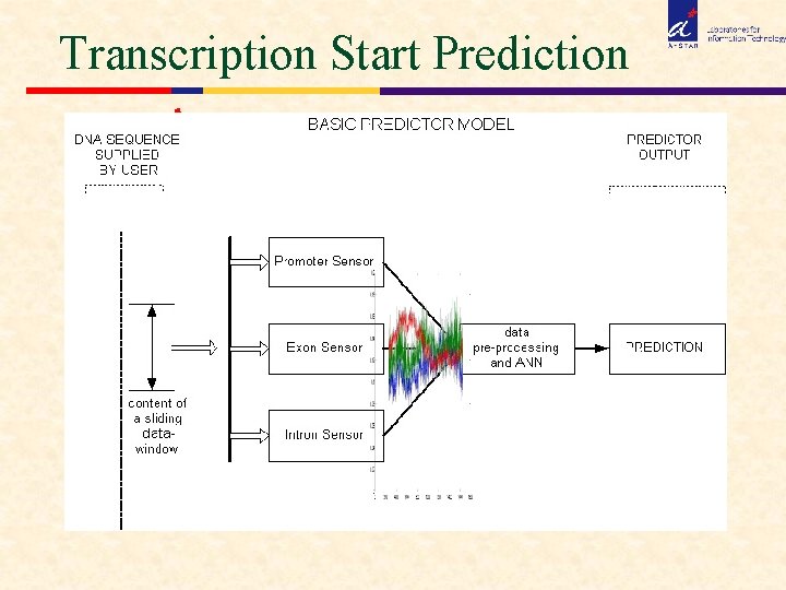 Transcription Start Prediction 