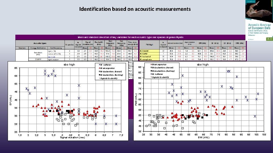 Identification based on acoustic measurements abs high M. nattereri 60 M. emarginatus 95 M.