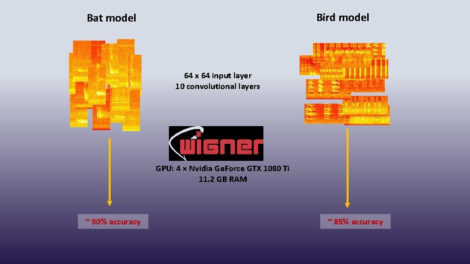 Bird model Bat model 64 x 64 input layer 10 convolutional layers GPU: 4