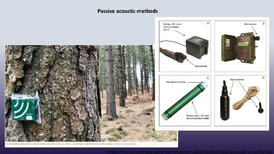 Passive acoustic methods https: //www. wwf. org. uk/project/conservationtechnology/acoustic-monitoring 