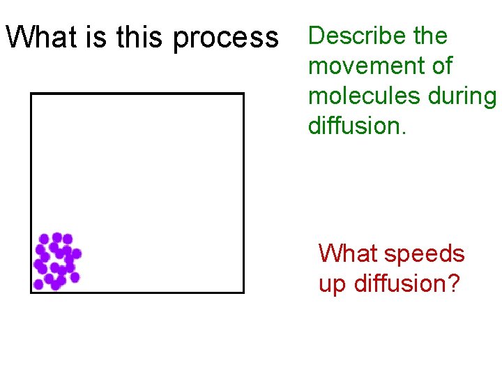 What is this process Describe the movement of molecules during diffusion. What speeds up